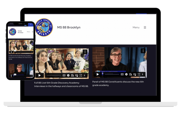 website and mobile website display